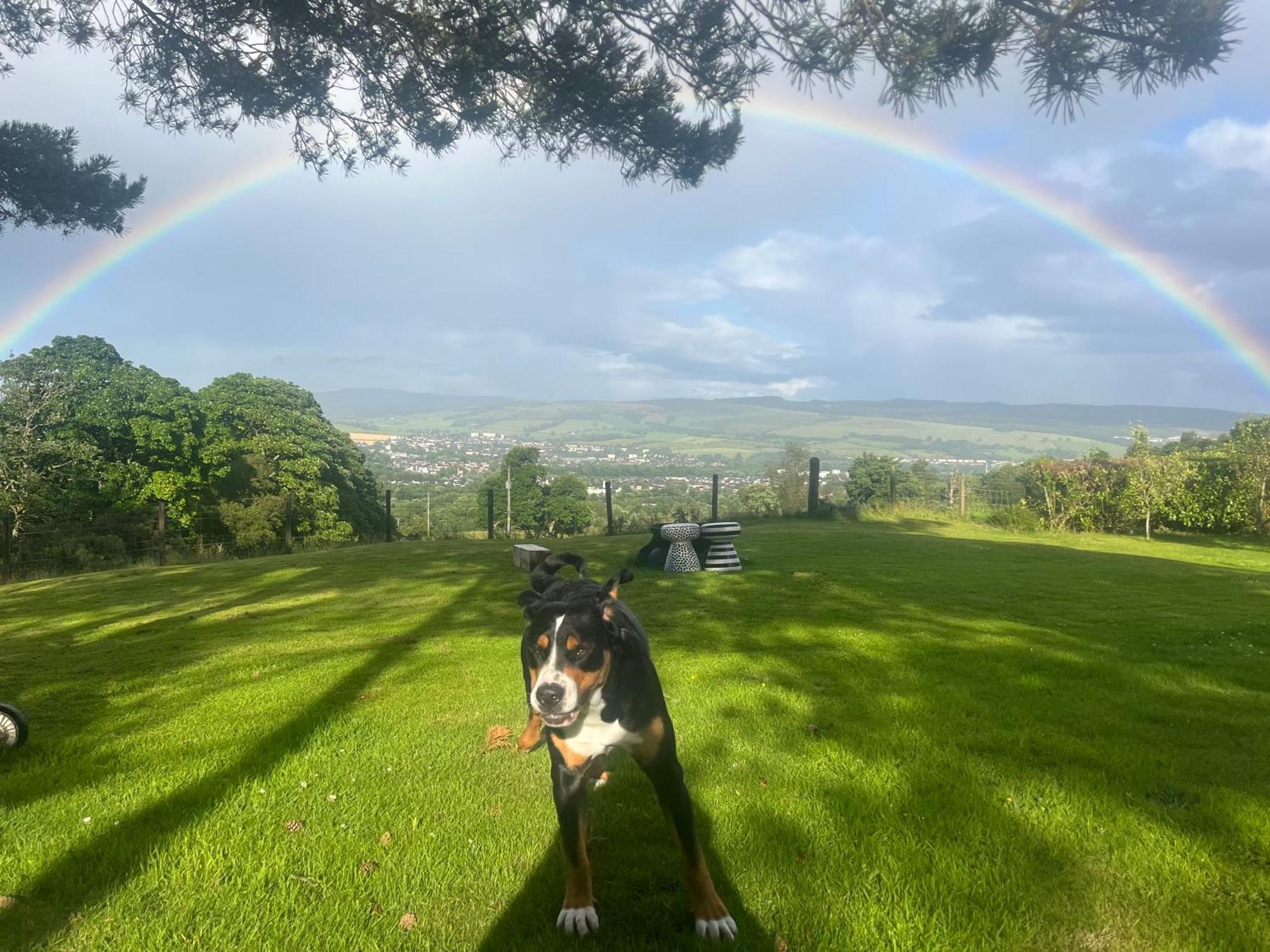 巴洛赫Stoneymollan Over Loch Lomond别墅 外观 照片